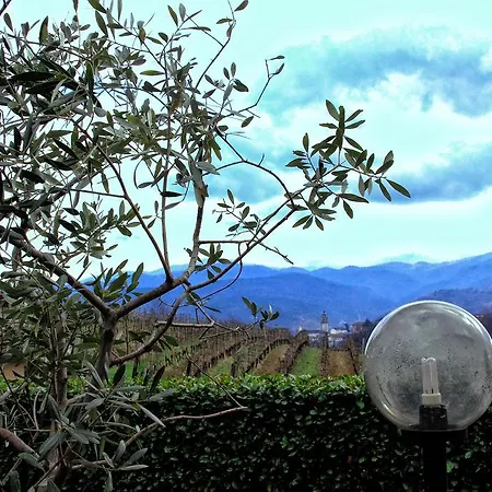 L'oasi Nel Vigneto Panzió