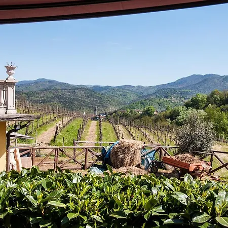 L'oasi Nel Vigneto
