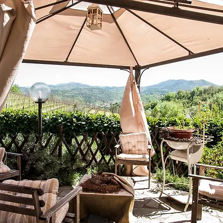 L'oasi Nel Vigneto Cremolino